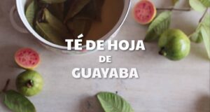 té de hojas de guayaba 1